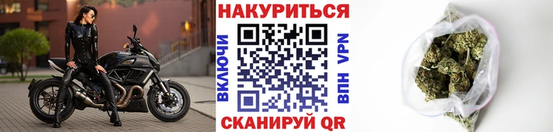 Конопля Amnesia  Купить где  Мариинский Посад 